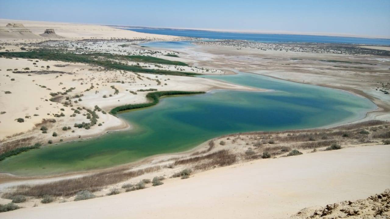 رحلة تخييم لمدة يومين في الفيوم من القاهرة